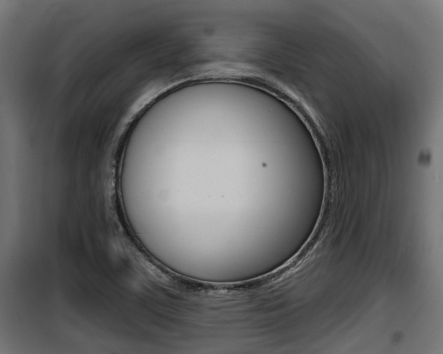 X0000100781459200806191005