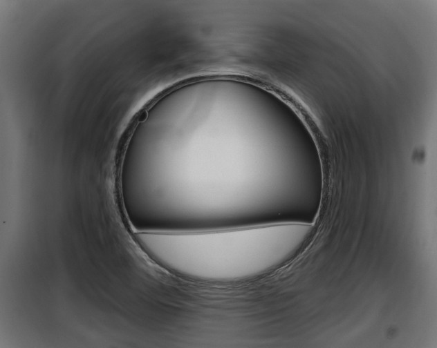 X0000100781460200806191005