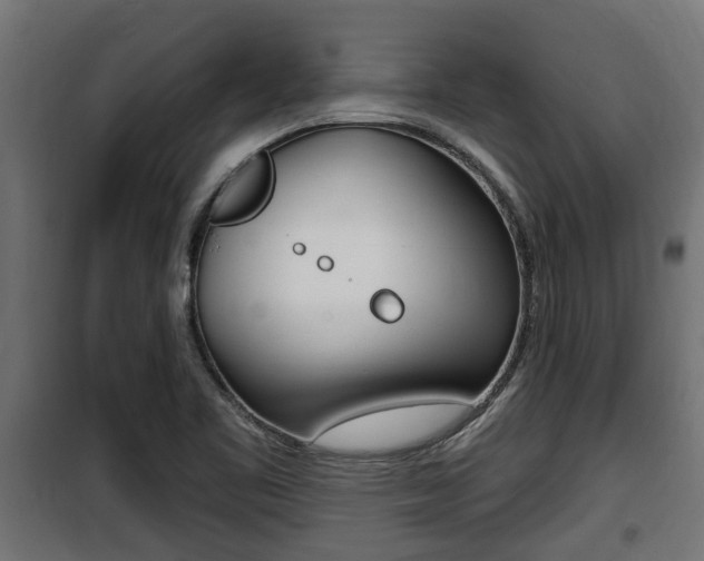 X0000100781461200806191005