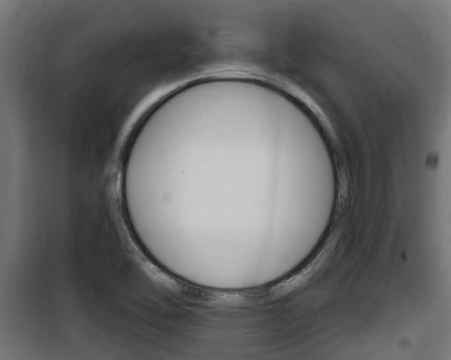 X0000100781462200806191005