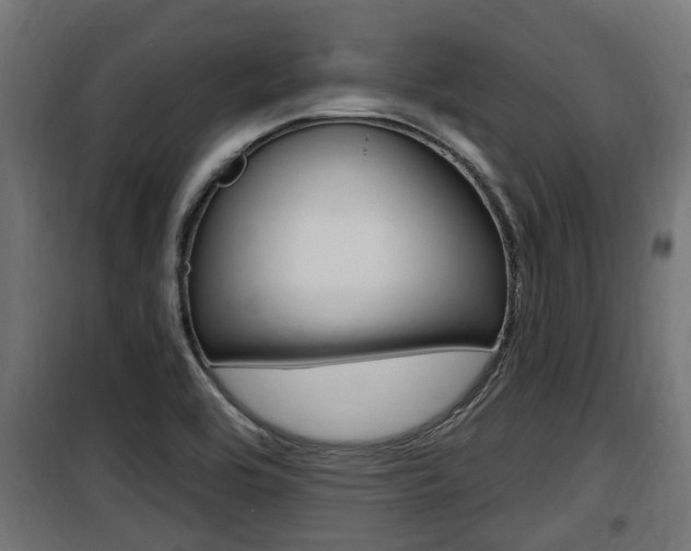 X0000100781464200806191005