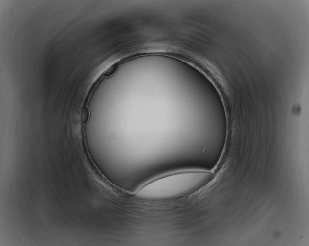 X0000100781465200806191005