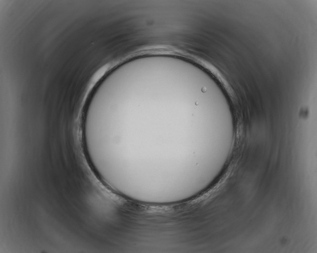 X0000100781466200806191005