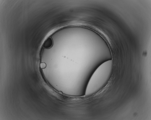 X0000100781467200806191005
