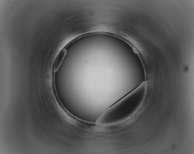 X0000100781468200806191005