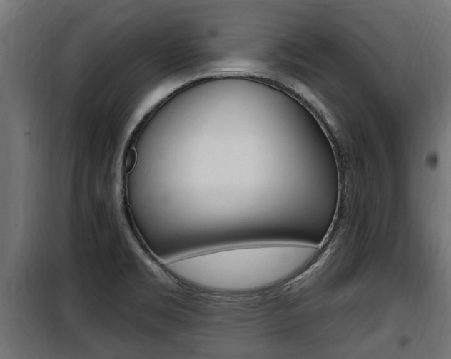X0000100781469200806191005