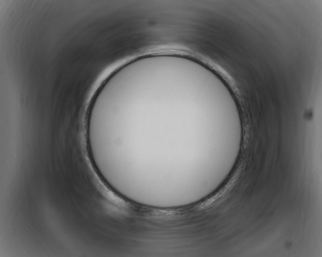 X0000100781470200806191005