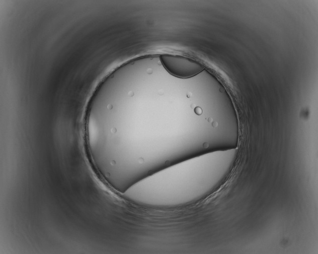 X0000100781471200806191005