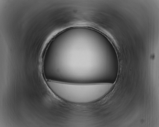 X0000100781472200806191005