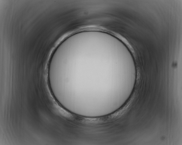 X0000100781474200806191005