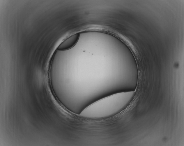 X0000100781475200806191005