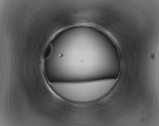 X0000100781476200806191005