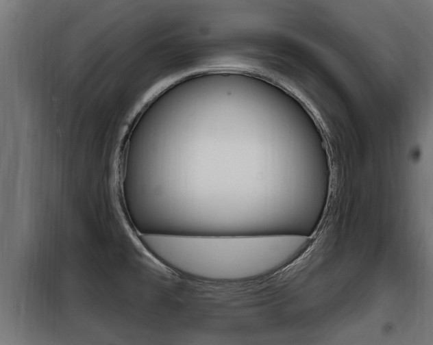 X0000100781477200806191005