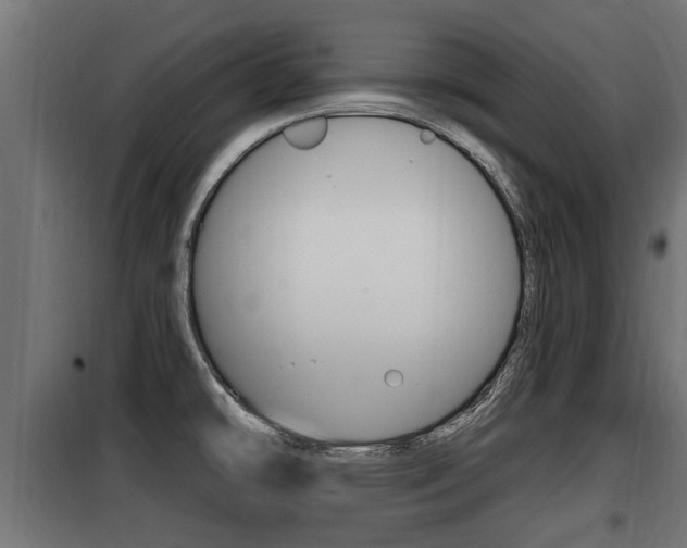 X0000100781478200806191005