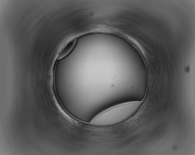 X0000100781479200806191005