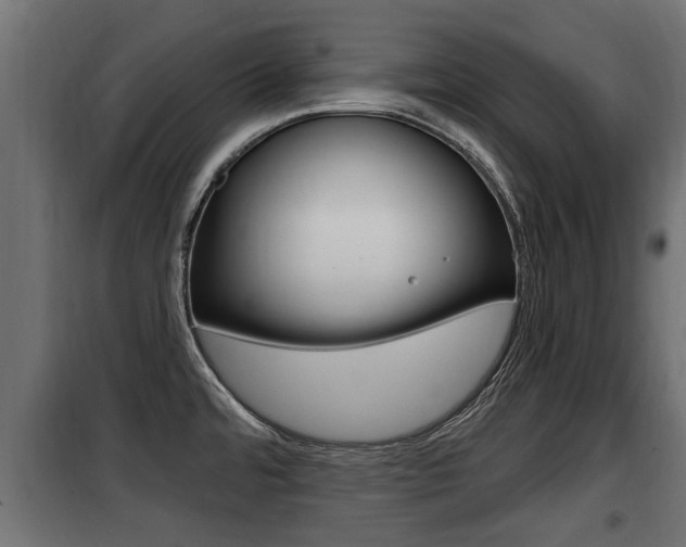 X0000100781480200806191005