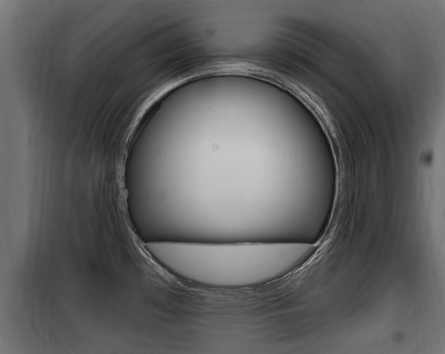 X0000100781481200806191005