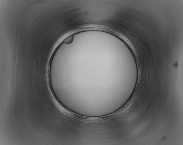 X0000100781482200806191005