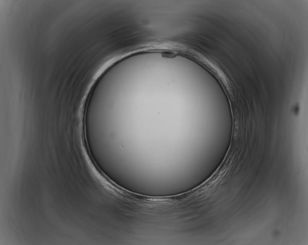 X0000100781483200806191005