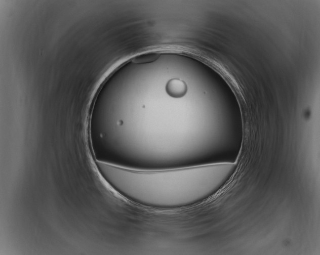 X0000100781484200806191004