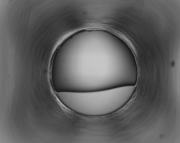 X0000100781485200806191004