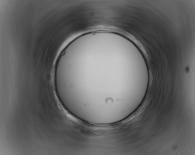 X0000100781486200806191004