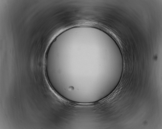 X0000100781487200806191004