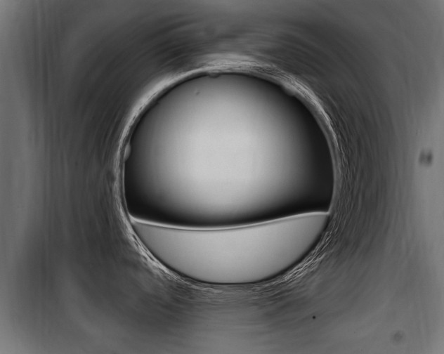 X0000100781488200806191004