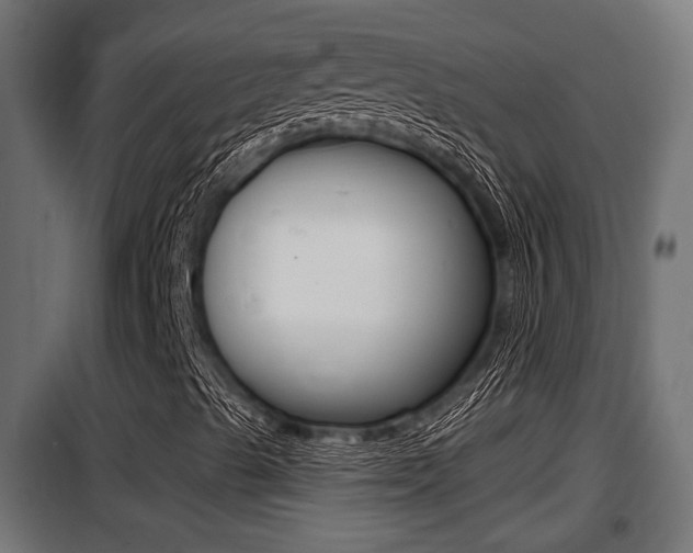 X0000100781489200806191003