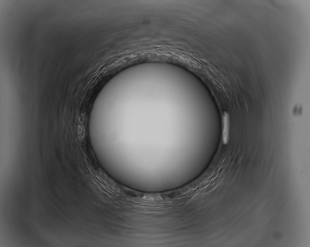 X0000100781491200806191004