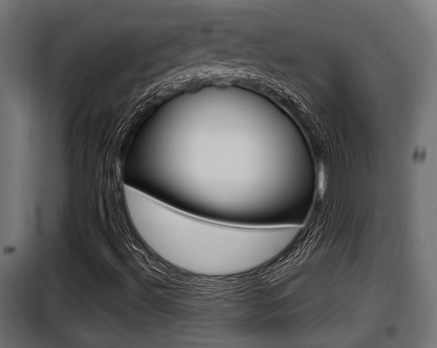 X0000100781492200806191004