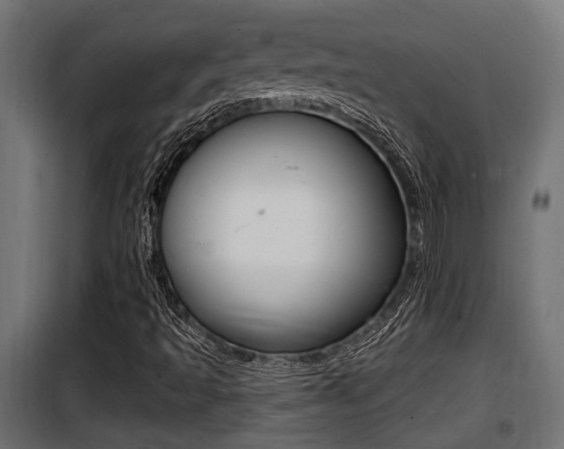 X0000100781493200806191004