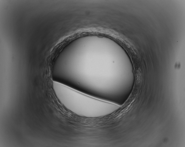 X0000100781494200806191004