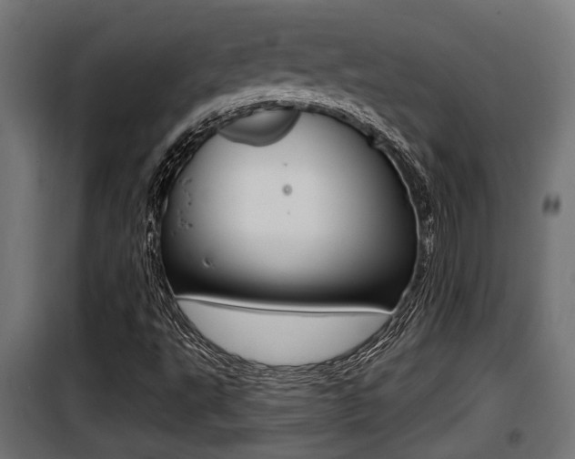 X0000100781495200806191004