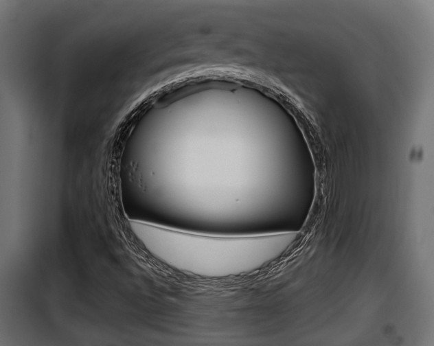 X0000100781496200806191004