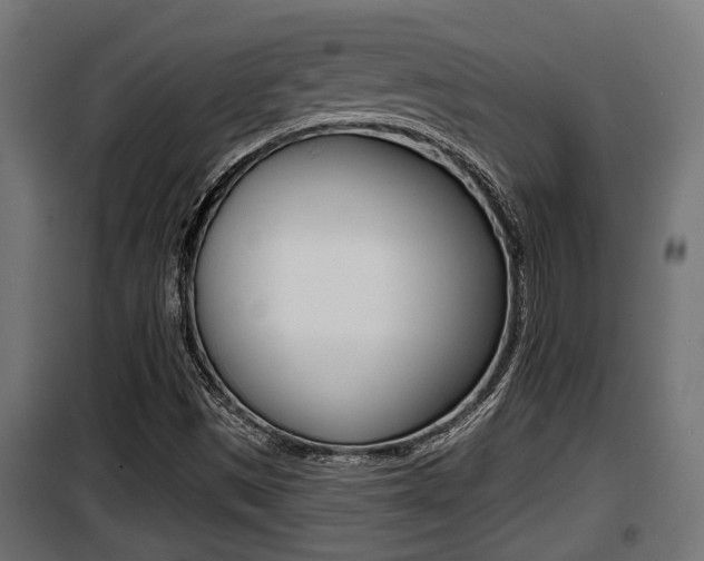 X0000100781497200806191004