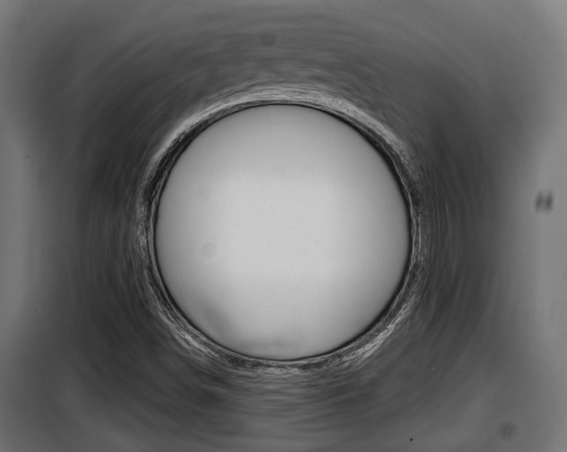 X0000100781498200806191004