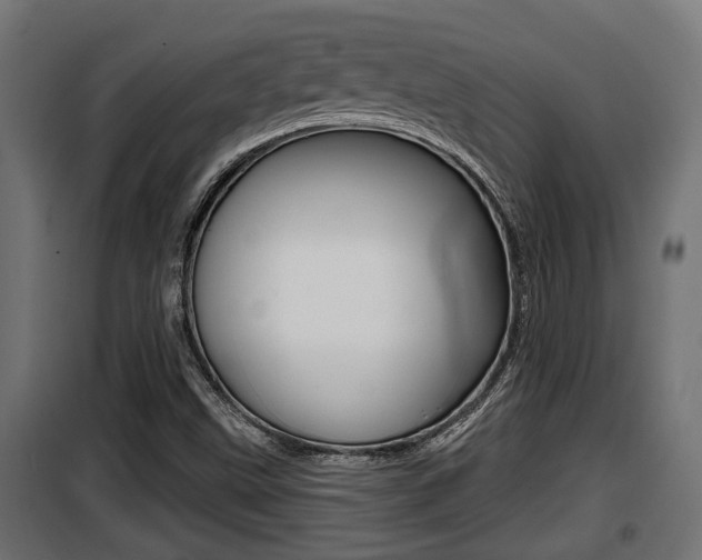 X0000100781499200806191004