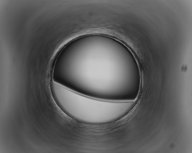 X0000100781500200806191004