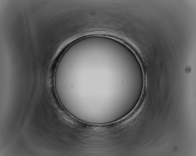 X0000100781501200806191004