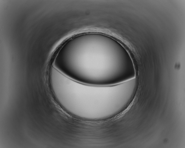 X0000100781502200806191004