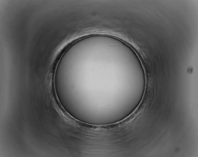 X0000100781503200806191004
