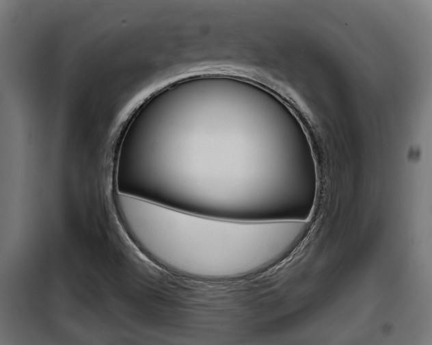 X0000100781504200806191004