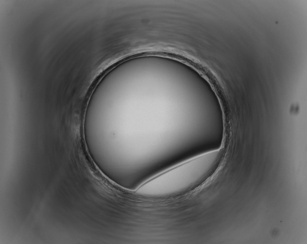 X0000100781505200806191004