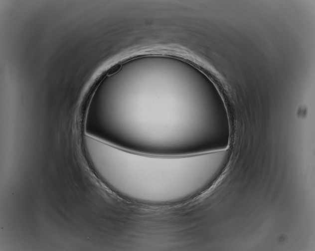 X0000100781506200806191004