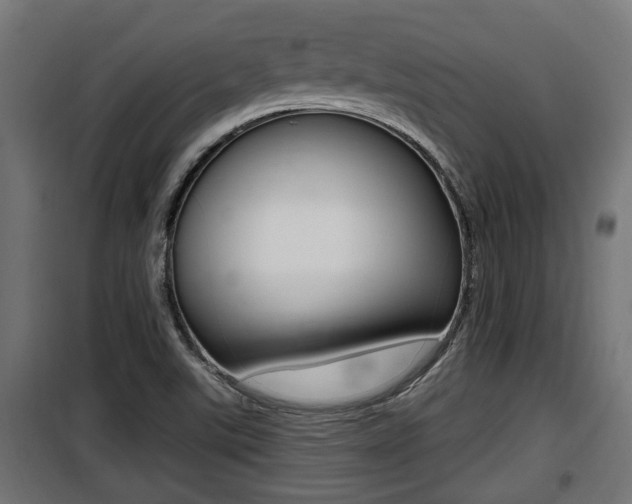 X0000100781507200806191004