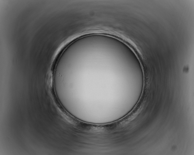 X0000100781509200806191004