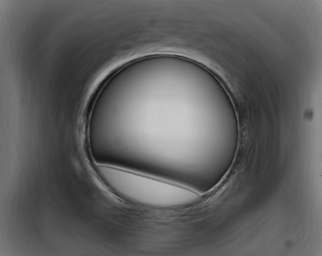 X0000100781511200806191004