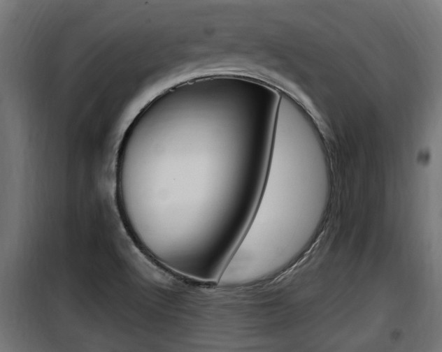 X0000100781512200806191004