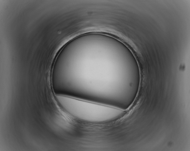 X0000100781513200806191004